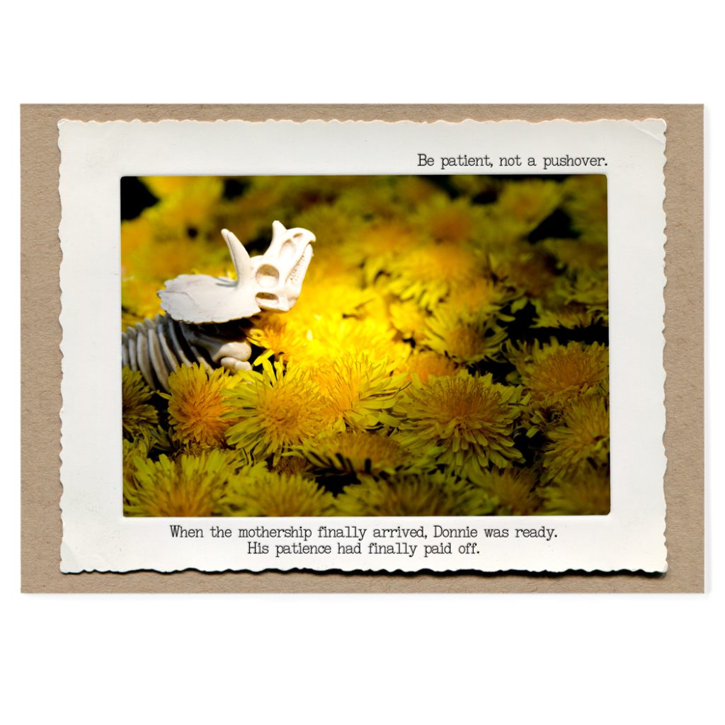 Dino Dandelion Saucy Confections numbers-in-words-indian-international-number-system